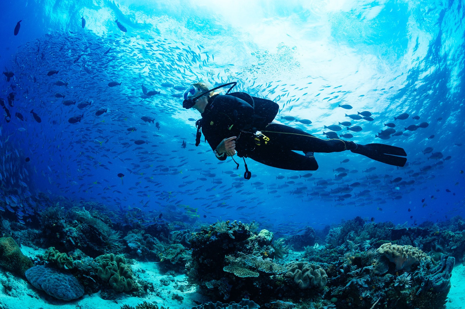 Diving
